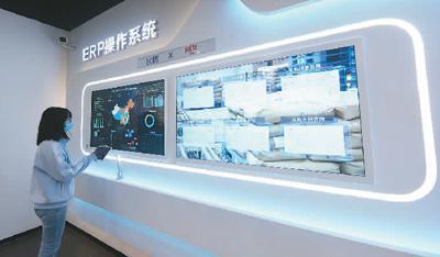 网络市场监管与服务示范区 引领网络服务高质量发展的新起点