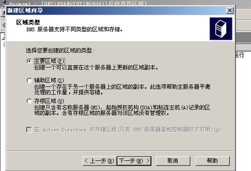 VMware 虚拟机网络服务中的 DNS 配置详解